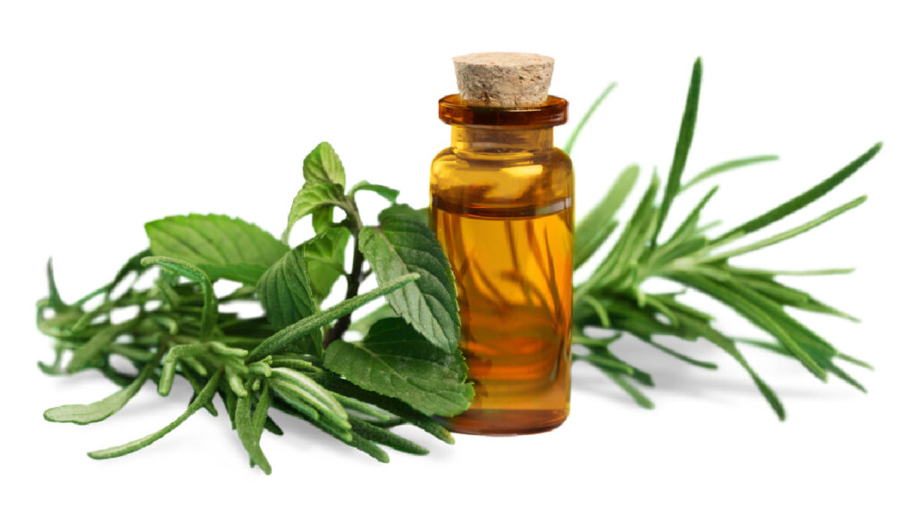 Rosemary Oil