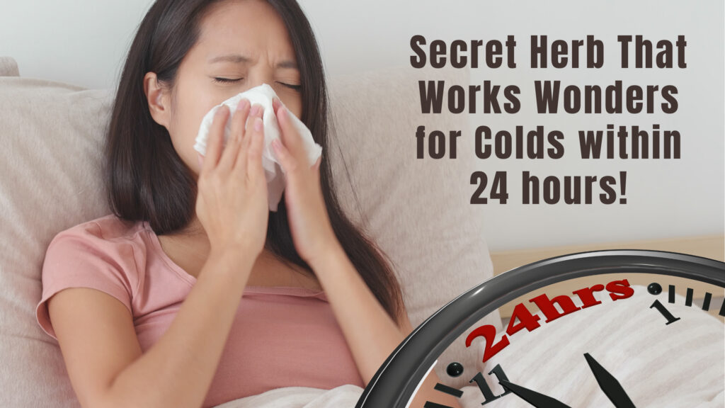 Secret Herb That Works Wonders for Colds within 24 hours!