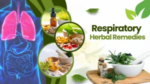 natural herbs for respiratory health